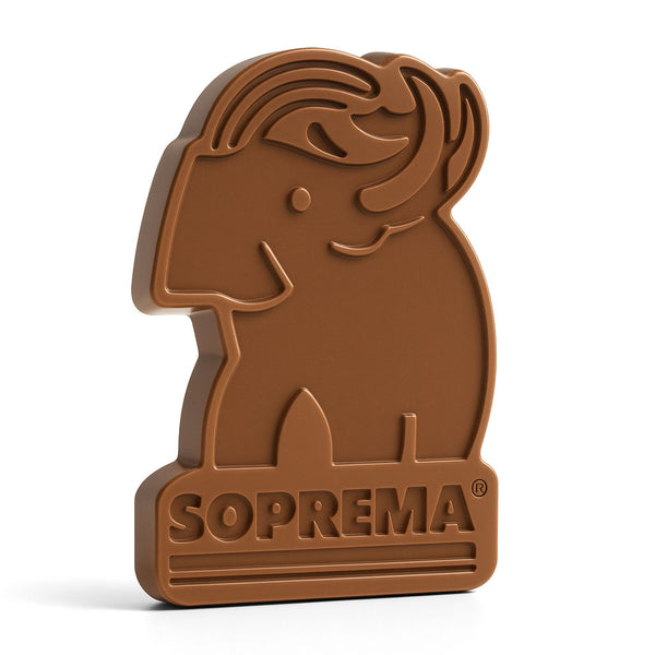 4x6 Custom Chocolate Shape in Gift Box