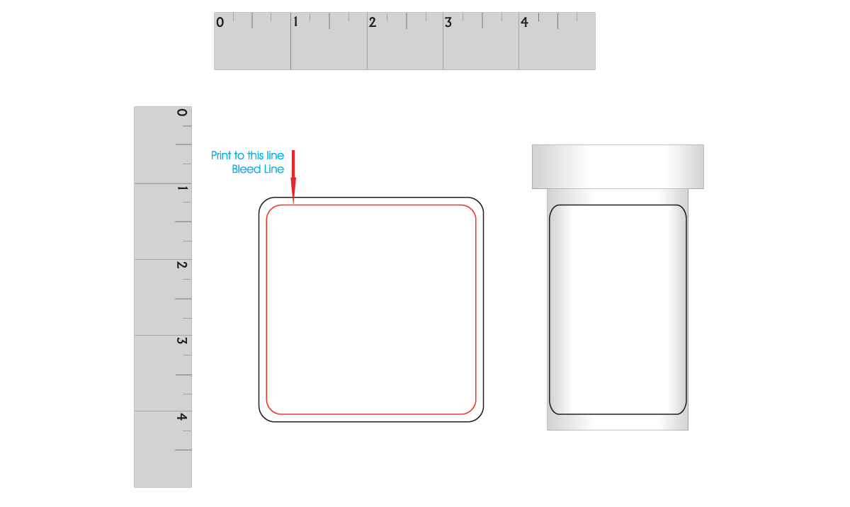 Artwork Layout - Large Pill Bottle